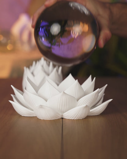Lotus Bloom – Beautiful 3D Printed Lotus Flower Decoration